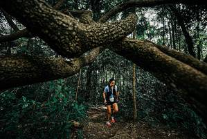 BIB: 
                            <button type="button" onclick="openModal(25708003)" class="btn btn-primary btn-sm float-right btn-popup" data-toggle="modal" data-target=".modal-high-quality">
                        <i class="fas fa-shopping-cart"></i> Add to Cart
                    </button>
                                            <button type="button" onclick="isThisMe(25708003, true)" class="btn btn-success btn-sm float-right btn-popup btn-isme hidden" data-toggle="tooltip" data-placement="bottom" title="นี่คือรูปของคุณใช่ไหม คลิกที่นี่เพื่อเอาเข้าอัลบั้ม">
                        <i class="fas fa-plus"></i> Add to album
                    </button>
                    <button type="button" onclick="isThisMe(25708003, false)" class="btn btn-warning btn-sm float-right btn-popup btn-isnotme hidden">
                        <i class="fas fa-ban"></i> Remove from album
                    </button>